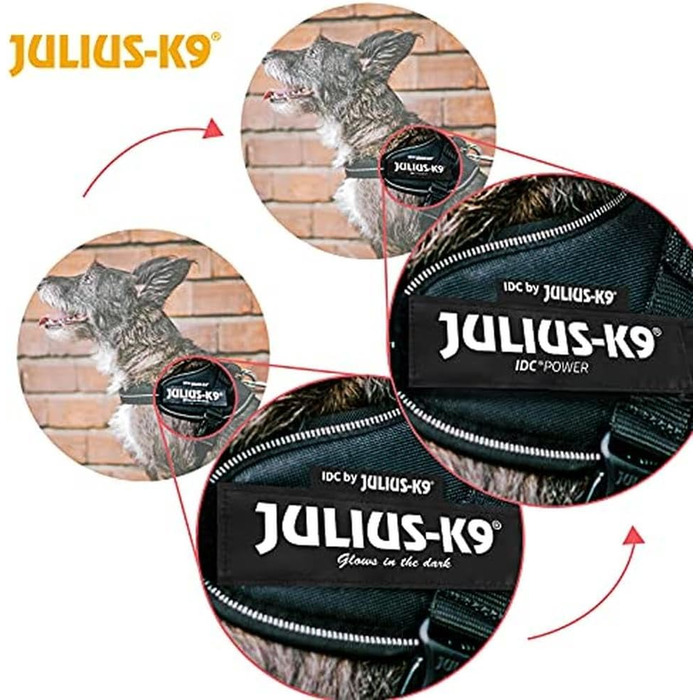 Шлейка Julius-K9 IDC Powergeschirr, розмір 2XL/3, Reggae Canis