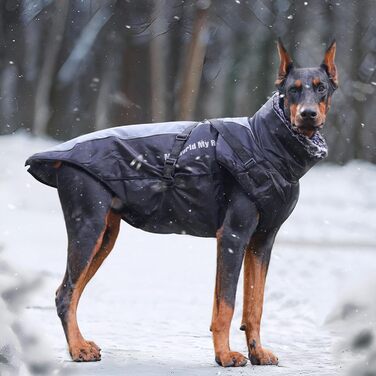 Теплий зимовий одяг для собак: куртка з шлейкою для маленьких, середніх та великих порід. Яскравий зимовий наряд для собак (Blue, Grey, XXXXXXL, 5XL)