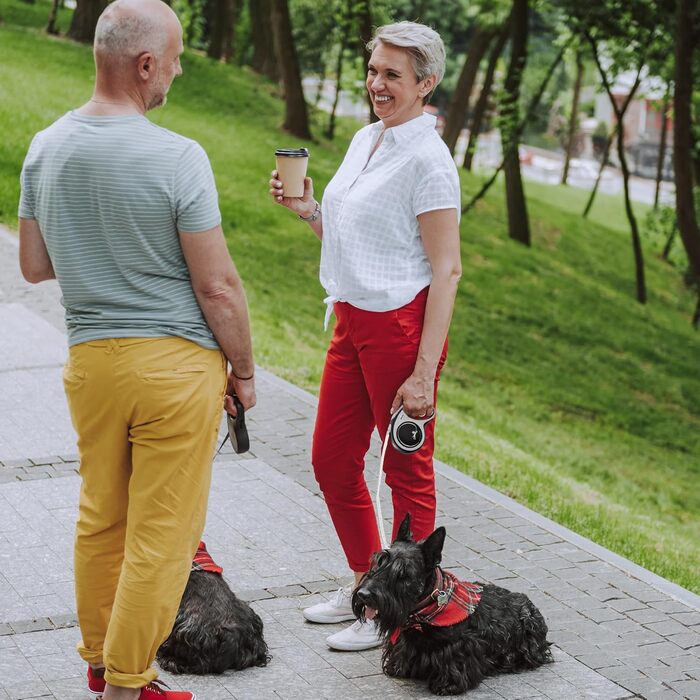 Рулетка для собак FLEXI New Comfort XS 3 м, до 12 кг, сіро-чорна, ергономічна, з міцною стрічкою