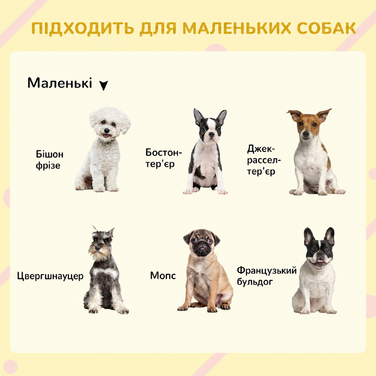 PawHut Будка для собак з терасою з ялинового дерева, стійка до погодних умов, з 2 мисками та асфальтовим дахом, сіра, 103x62x60-66см