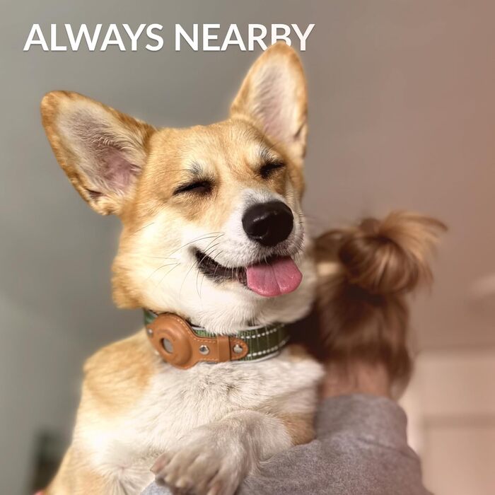 Нашийник для Apple AirTag для собак CollarDirect, відбиваючий, помаранчевий, розмір M (34-42 см), XL (51-61 см)