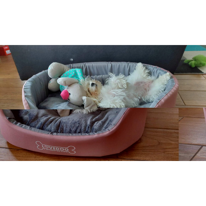 Вольєр для собак Lovedog, багатоколірний, 60 см x 50 см