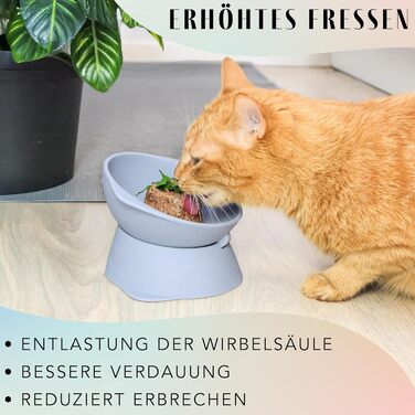 Підвищений миска для кота з регульованим нахилом | Миска для кота Silikon ne&no® (небесно-блакитний)