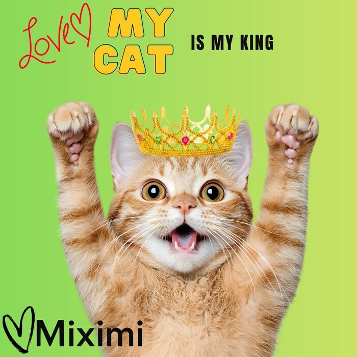 Дім-кіготник для котів Stars Klein - екологічні меблі з картону, легкі, стабільні, компактні. Ідеально для маленьких квартир та котів будь-якого віку