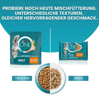 Сухий корм для дорослих котів Purina ONE Bifensis з куркою, 5.7 кг