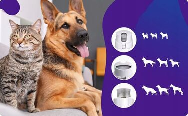 Електрична шліфувальна машинка для собак та котів – 3-в-1, USB-зарядка, 8000 об/хв, тиха та безпечна, ергономічна, для маленьких, середніх та великих тварин