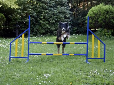 Набір для аджиліті для собак PROCYON - професійний тренувальний комплект, відповідний стандартам FCI