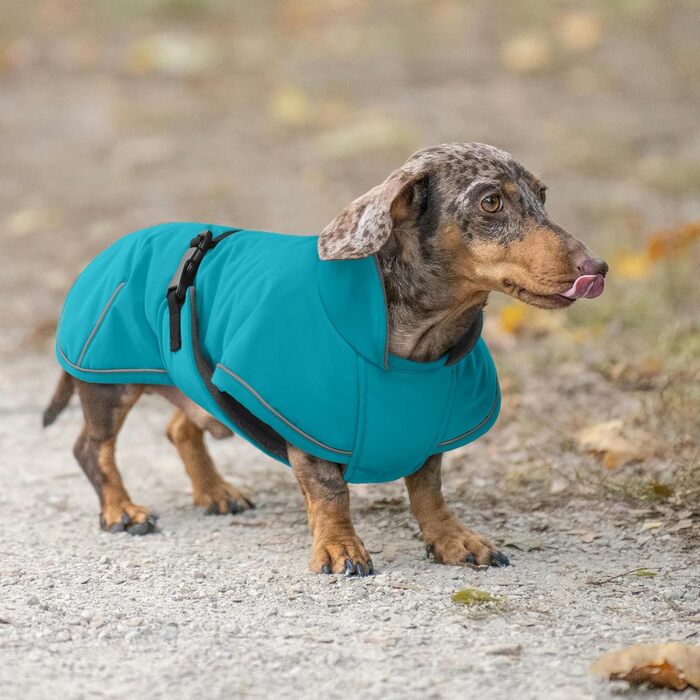 Зимовий антідощовий антівітряний антіфільтр для такс, тепла куртка для собак, теплий антіфільтр для собак з захистом живота та отвором для повідка, зимові куртки для собак (S, Marine)