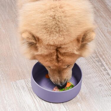 Миска для собак ne&no® Silikon 1200 мл з кришкою для маленьких та середніх собак | Безпечна для холодильника, не ковзає | Набір мисок для собак: миска та кришка (холодна фіолетова)