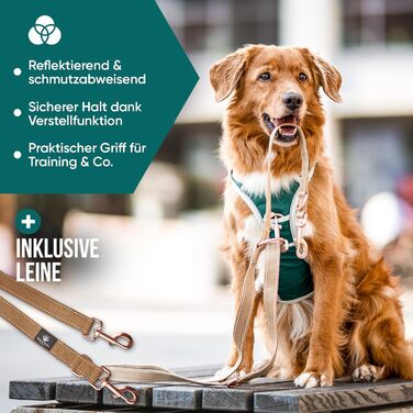 Набір повідка та шлейки для собак – дихаючий, регульований, з м'якою підкладкою та світловідбиваючими елементами – для великих та середніх собак (зелений, S (51-66 см обхват грудей))