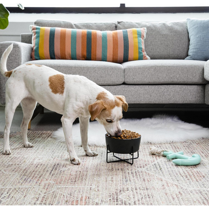 Підставка для годівлі собак Waggo з мискою, керамічна, піднята, маленька, матова біла