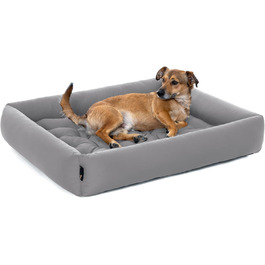 колір: синєгрань