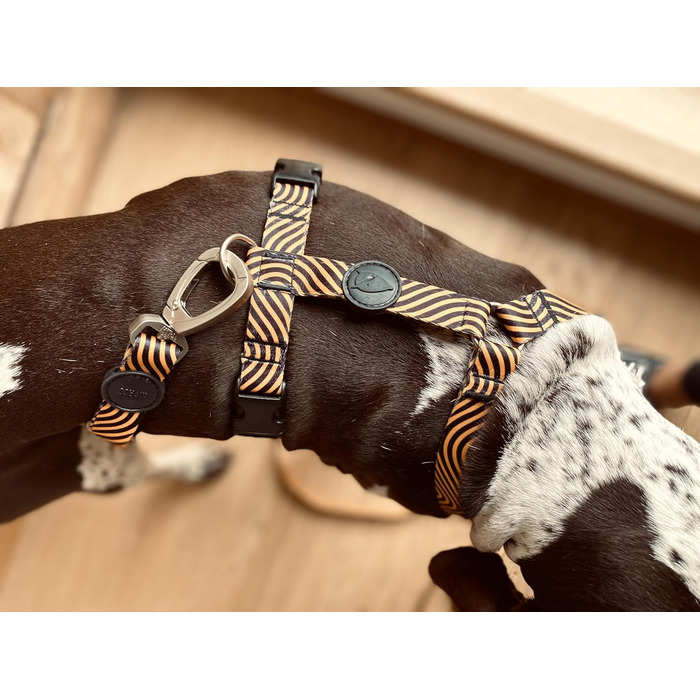 Шлейка для собак ORSO® H-подібна, 5-точкове регулювання, для собак малого та середнього розміру, жовтогарячий/чорний колір, розмір XL
