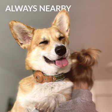 Нашийник для Apple AirTag для собак CollarDirect, відбиваючий, помаранчевий, розмір M (34-42 см), XL (51-61 см)