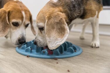 Таця для повільного годування TRIXIE Slow Feeding Anti Schling Matte Pillars, Ø 35 см, блакитна