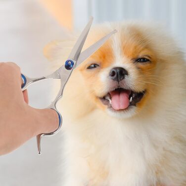 Набір з 2 ножиць для грумінгу тварин з округлою голівкою, нержавіюча сталь, професійний грумінг та домашнє використання, прецизійна заточка, ергономічні ручки