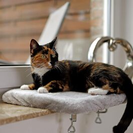 Кішка лежанка для вікна Lionto, м'яка, плюшева, 35x50 см, сіра, до 15 кг