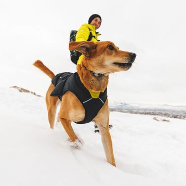 Куртка Ruffwear Quinzee для великих собак, ізольована куртка-всепогодник для собак, водонепроникна куртка для собак, легка жилетка для собак та сумка-переноска, розмір L, Obsidianschwarz (Fireweed Pink, XX-Small)