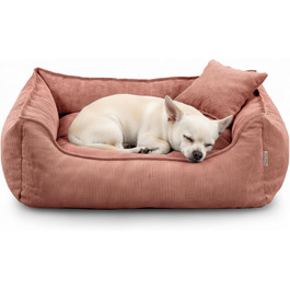 розмір: xs - 55x40