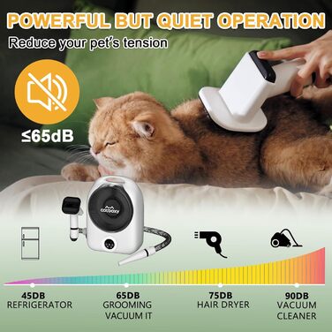 Набір для догляду за собаками та котами: фен для видалення шерсті з професійною щіткою, іонізація, стабільна температура (чорний)