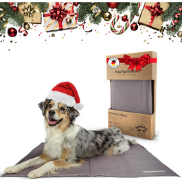 Килимок охолоджуючий для собак NALA, самоохолоджуючий, літній, розмір S (L96 x B81 x H1 см)