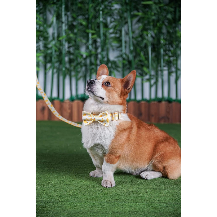 Персоналізоване собаче нашийник з металевою застібкою, індивідуальні жетони для тварин з гравіюванням імені, номера телефону та адреси