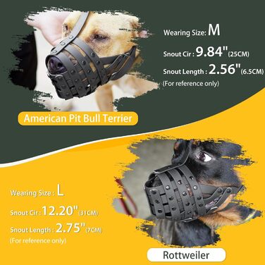 Майерзон Намордник для собак Пітбуль, Ротвейлер, Стаффордширський тер'єр - запобігання укусам, догляд за шерстю, дозволяє пити, зелений, розмір M (Snout Cir: 9.75'-11')