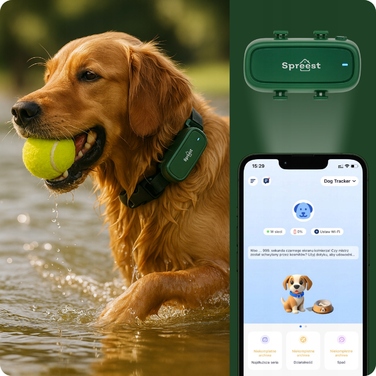 GPS-локалізатор для котів та собак: міні-трекер з нашийником для тварин (Android)