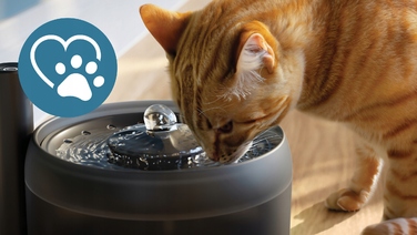 Автоматичний фонтан-поїлка для котів Philips PAW3210/02