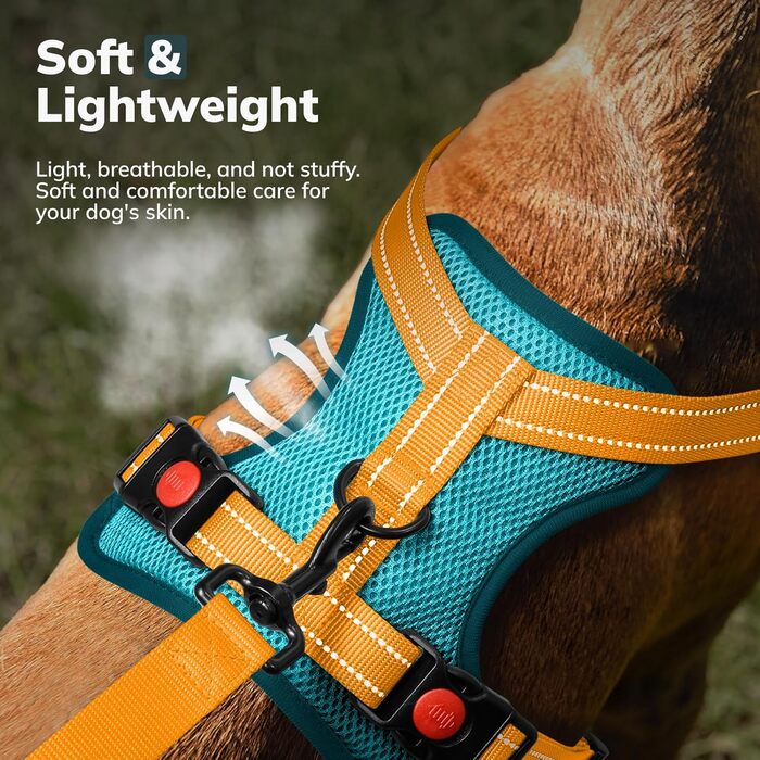 Шлейка для собак FAYOGOO з переднім кріпленням, не тягне, регульована, м'яка, з підкладкою, для малих, середніх та великих собак, синього кольору (S)