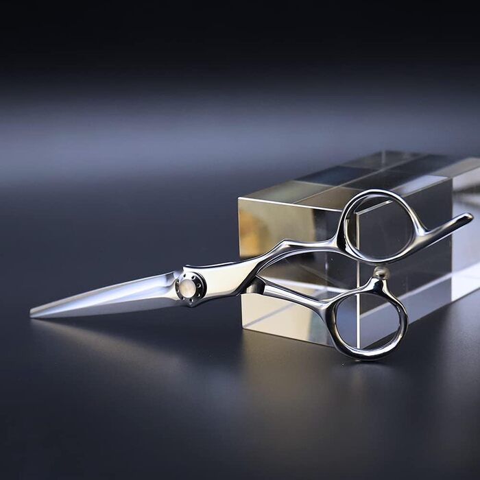 Професійні перукарські ножиці AOLANDUO VG10 - для перукарів та барберів, нержавіюча сталь, висока гострота, плавне різання, 6.0 дюймів
