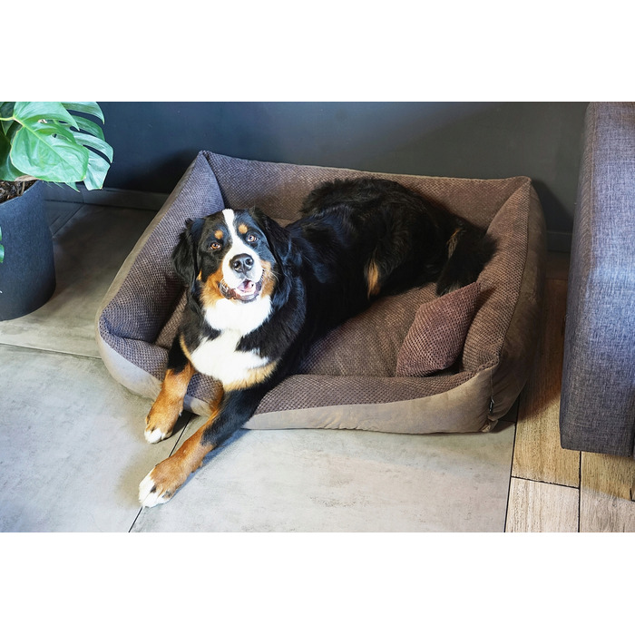 Затишне текстильне лежак для собак TEO, 100x80 см, розмір 4L