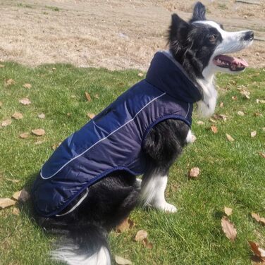 Водонепроникний теплий дощовик для собак з коміром з флісу, з отвором для шлейки, для маленьких, середніх та великих собак, колір: морський, розмір 2XL (Об'єм грудей 75-85 см)