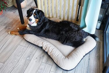 Клео - лежанка для собак середніх розмірів, 90x70 см, бежева, знімний чохол, водонепроникна, для собак великих порід