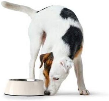 Миска HUNTER Melamin, petrol, 350 мл, з нержавіючої сталі, неслизька, стійка до подряпин та ударів, легко миється, для посудомийної машини