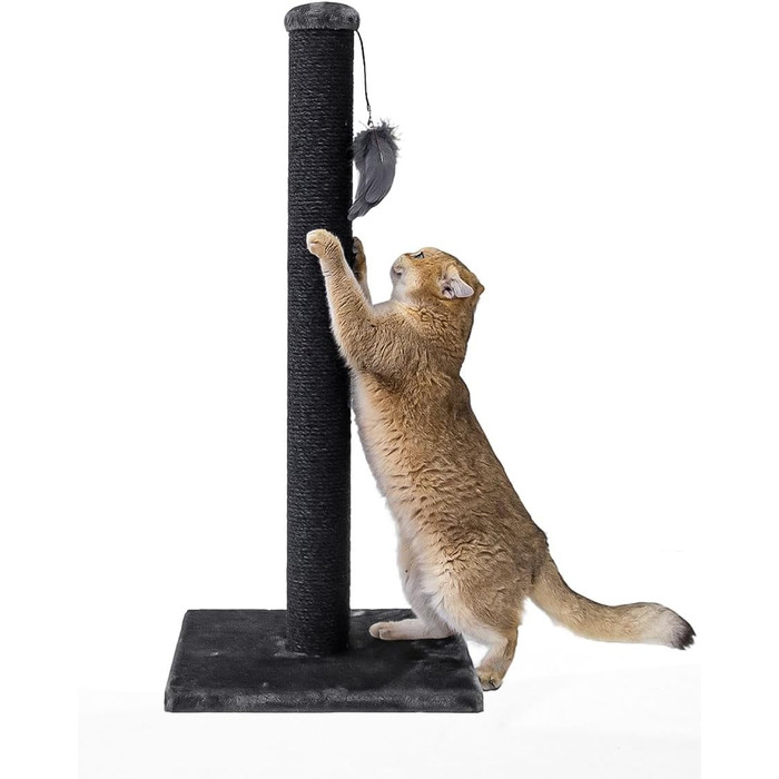 Дряпка для котів Petrebels Maine 90 см, з міцною основою та сизалевим стовпчиком, 40 x 40 x 90 см, чорного кольору