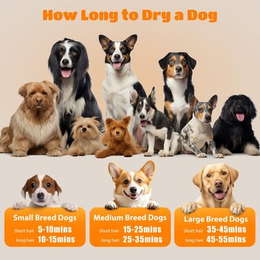 Професійний фен для грумінгу домашніх тварин Nobleza Pet Blower - 4 насадки, регулювання швидкості/тепла, тихий