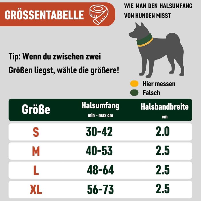 Нашийник для собак Nomadog Trailblazer з ручкою для великих собак - преміум алюмінієва застібка, міцний тактичний нашийник, регульований, з підкладкою, світловідбиваючий (L)