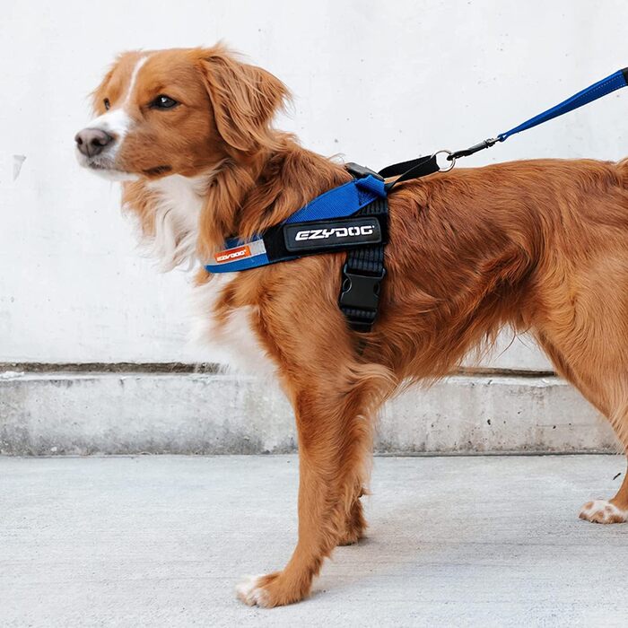 Шлея для собак EZYDOG Express, ергономічна, зручна, для малих, середніх і великих порід, регульована, синя, розмір S