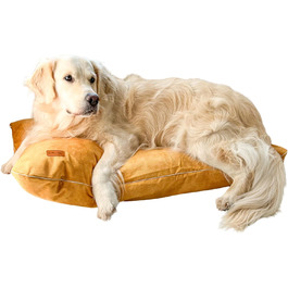 колір: жовтий