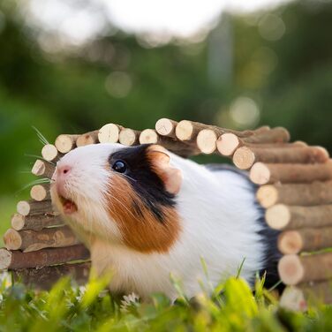 Міст для кроликів та морських свинок Relaxdays Nagerbrücke Holz, 40 x 65 см, дерев'яний, гнучкий, аксесуар для клітки