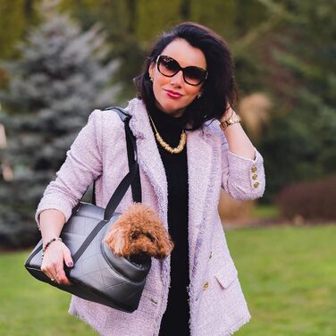 Сумка-переноска для собак та котів Boutique Zoo - сіра металік (штучна шкіра), до 5 кг