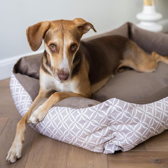 М'яке собаче ліжко Otto 80x60 см, коричневе. Знімна та пральна наволочка. Ліжко-кошик для собак середніх порід.