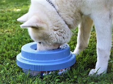 Тринapф для собак Tilty Bowl XL (Крем)