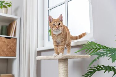 Дряпальня для котів TRIXIE Baena, 69 см, бежева - 43370