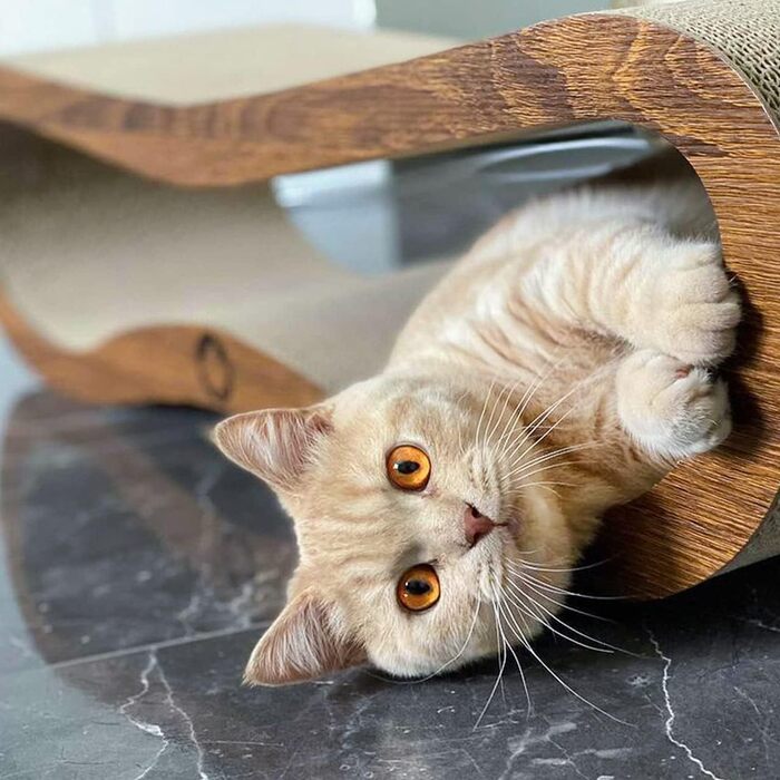 Кігтеточка для котів CanadianCat Orbit, горіхова, картон з котячою м'ятою, 84x24x23 см