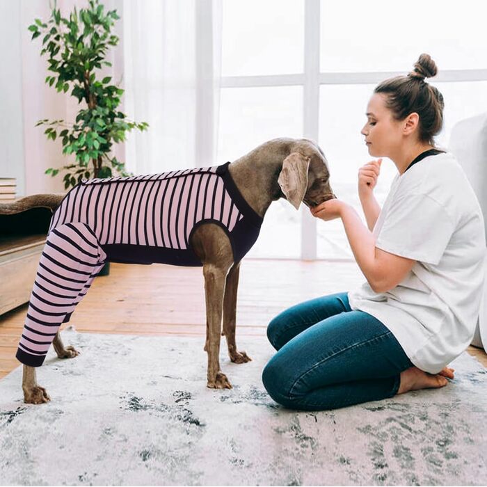 Комбінезон для собак Kuoser після операції на задніх лапах, чорний, розмір L (M(спинка:34см), Рожевий)