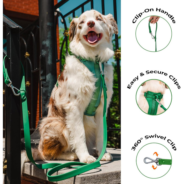 Антизахисна шлейка для собак Easy Walk BearBone з ручкою, повідцем і нашийником, для малих, середніх і великих порід, зелена