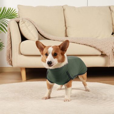 Флісовий пуловер для собак, теплий та легкий, піжама, верхній одяг для осені та зими, для цуценят та собак різних розмірів (зелений, XS)