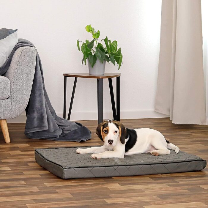 Ортопедичний килимок для собак Lionto з memory foam, 80x55 см, сірий. Знімний чохол, антиковзаюче покриття, захист суглобів.